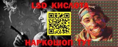 мдпв Гусев